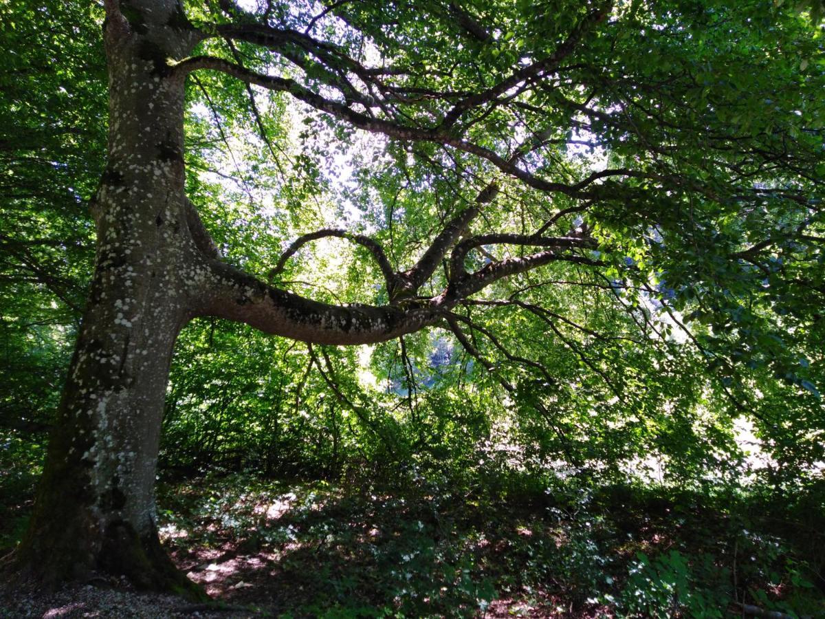Ferienwohnung Mit Kleinem Garten Зонненбюль Экстерьер фото